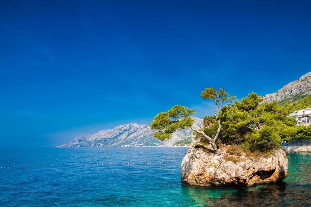 Bluesun Hotel Maestral Brela Dış mekan fotoğraf